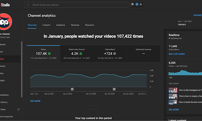 be youtube video SEO expert for new channel and monetize