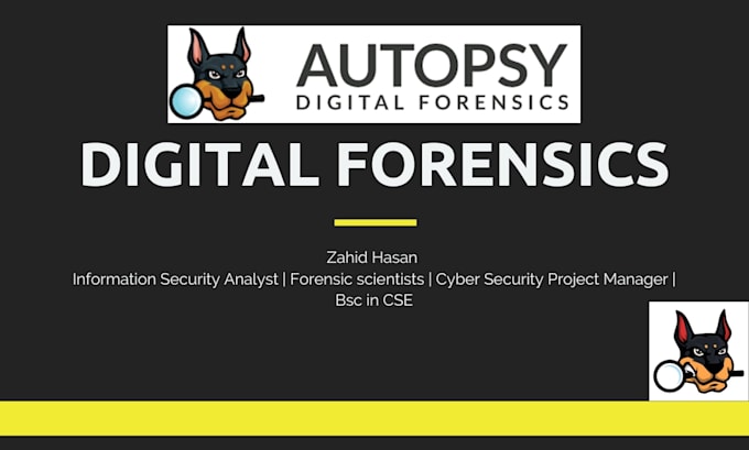 perform professional digital forensics and artifact analysis