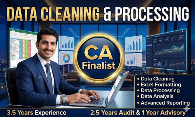 data cleaning, data processing, excel formatting, reporting