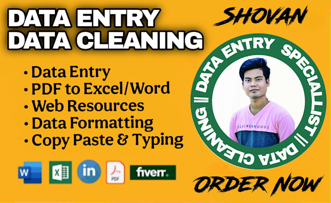 clean, organize, automated your data using ms excel