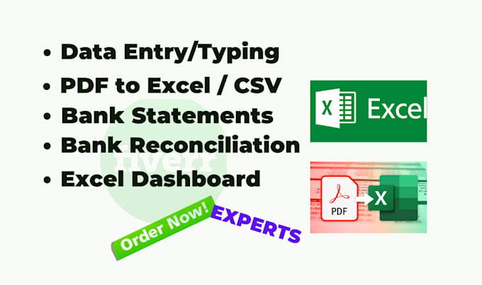 do bank statement n reconciliation, pdf to excel, data entry, typing, csv
