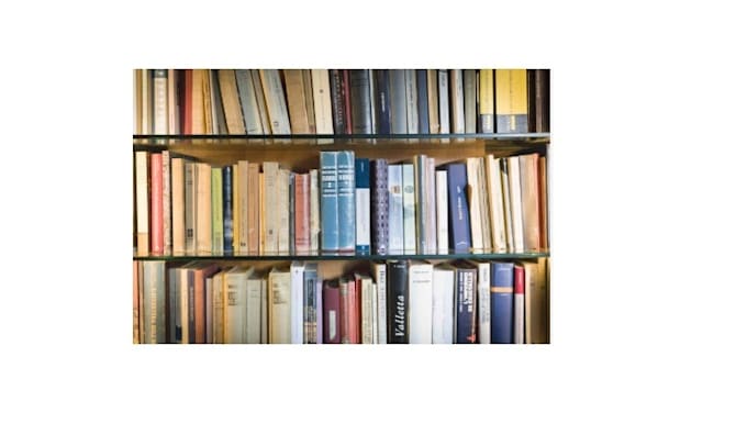 ghostwrite your novella or novel