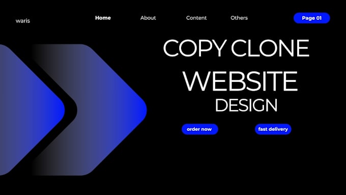 duplicate,redesign, copy clone website ,design wordpress website with