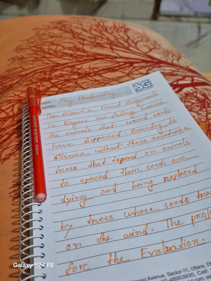 do an wonderfull hand writing for you