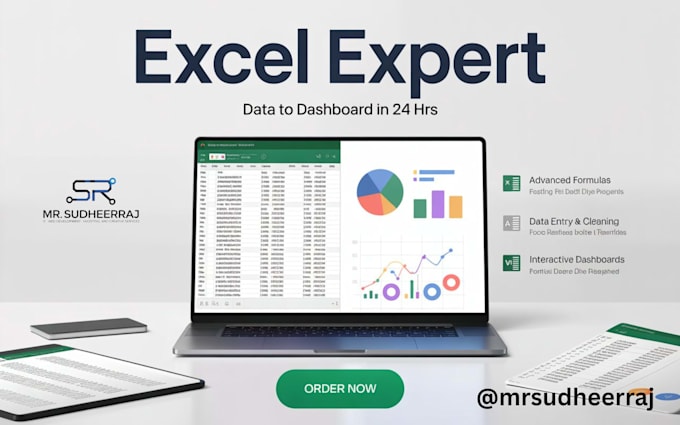 your professional excel data entry  formula dashboard design