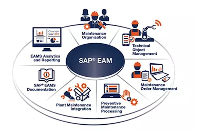help with sap s4hana eam pm customization and training