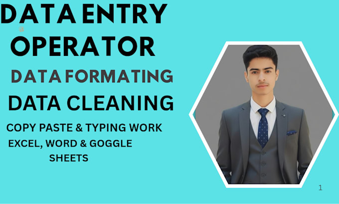 do accurate data entry, excel data cleaning, and formatting