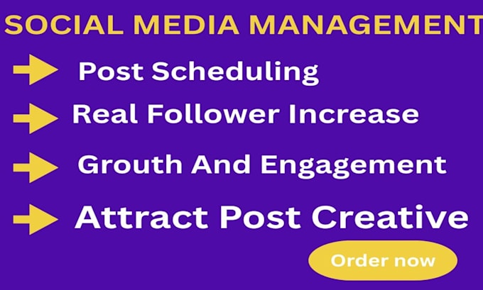 be your social medial manager and content creator