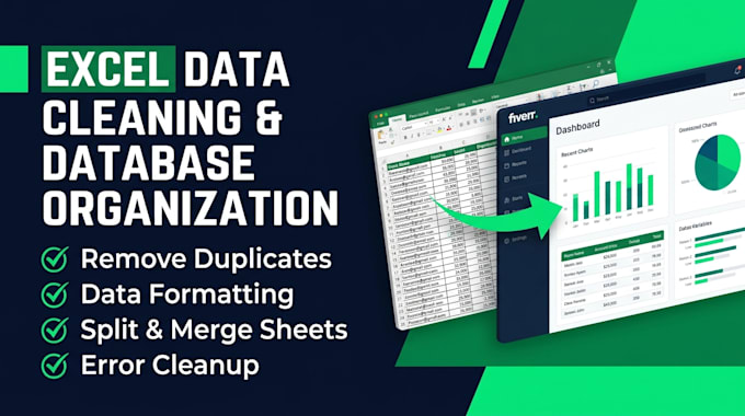 professionally clean and organize your excel database