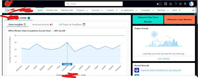 implement salesforce, optimize your CRM, and fix issues