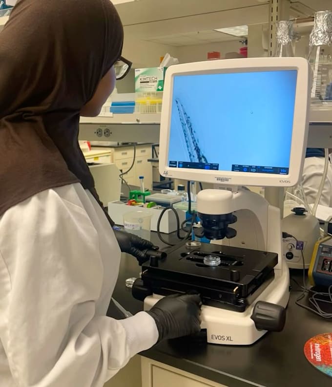 Perfect Lab Test Explain your medical lab test results by Hasnae_bll | Fiverr