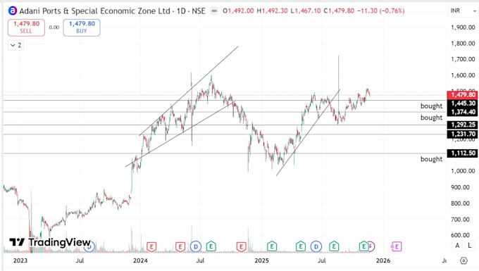 perform comprehensive portfolio review, risk check and provide support