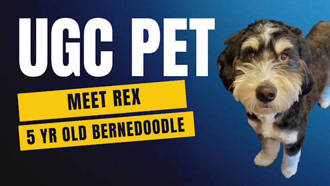 create pet dog ugc videos