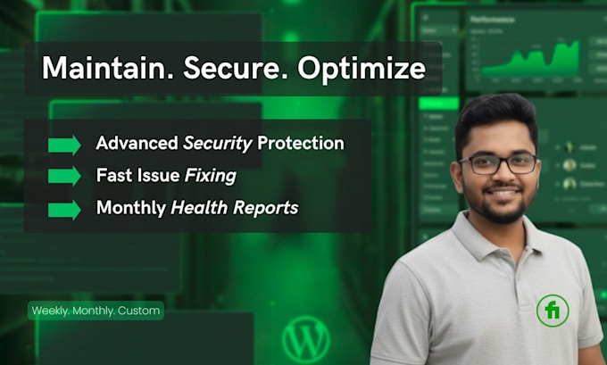 provide expert wordpress website maintenance and security