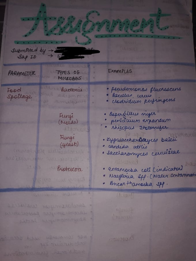 Handwritten notes and assignments by Yashmeenvirk944 | Fiverr