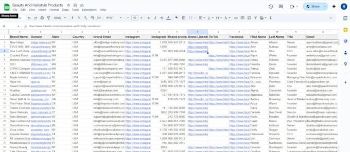 provide targeted b2b lead generation email list building and data mining service