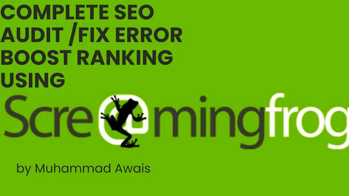 perform an in depth website audit with on page technical