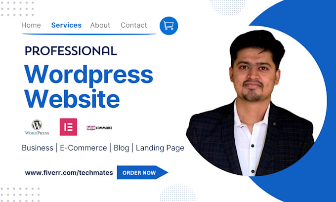 create a professional wordpress website or blog