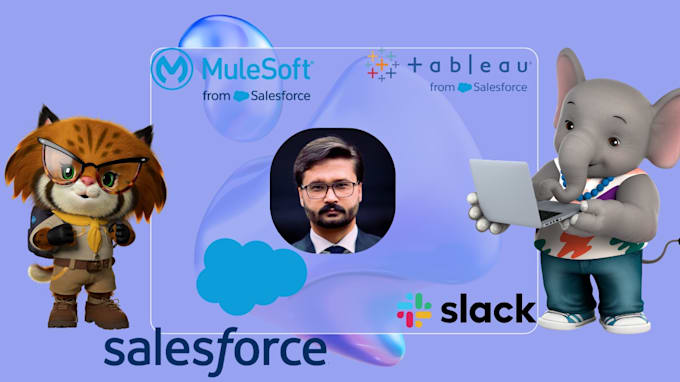 be your salesforce expert admin and consultant