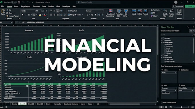 an investor ready financial model and valuation