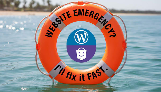 solve your urgent wordpress or shopify problem