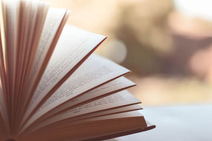 do book promotion on my blog