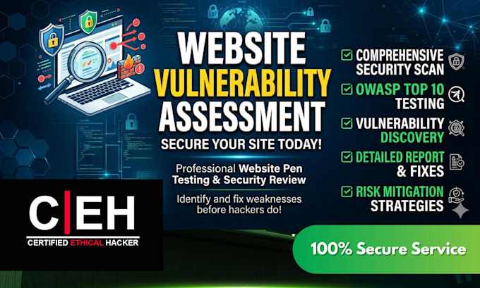 perform website security audit vulnerability scan