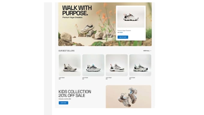 design and develop a professional wordpress website and blog
