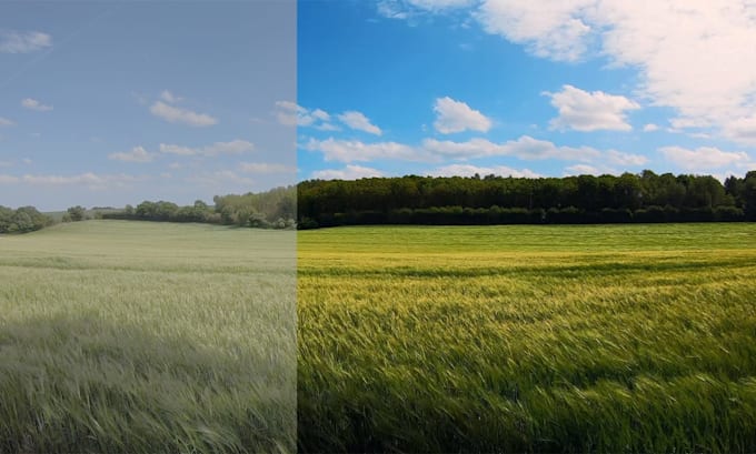 do expert video color grading and color correction