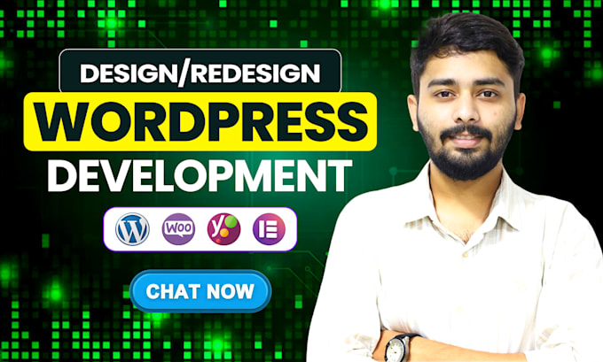 build wordpress website development, business website, wordpress blog website