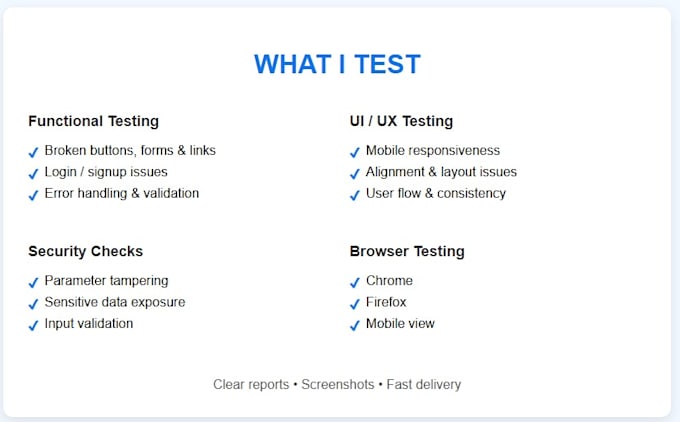 text your website for bugs, ui issues and basic security