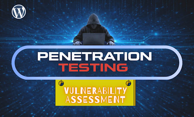 perform web application penetration testing
