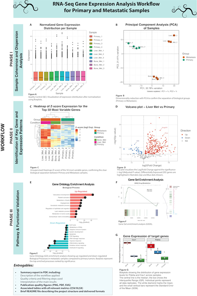 analyze processed rnaseq matrix performing functional dgea