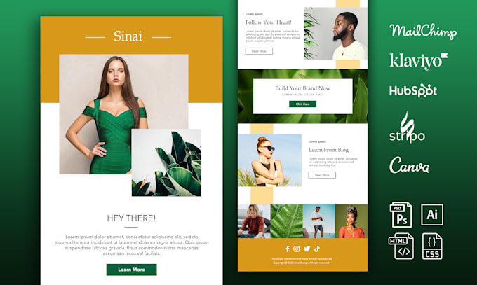 design professional mailchimp email template newsletter