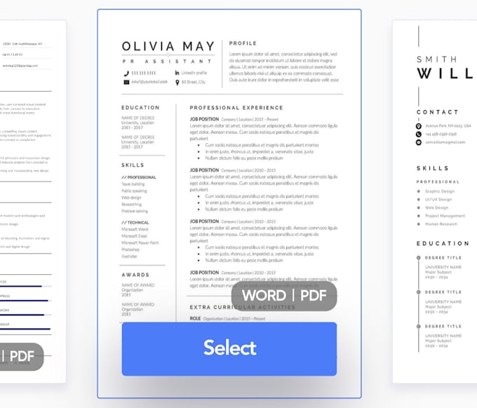 make professional resume and CV , same day delivery