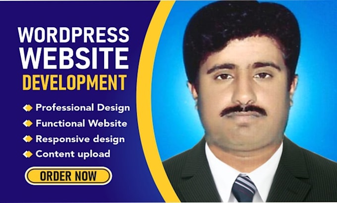 develop wordpress website for you