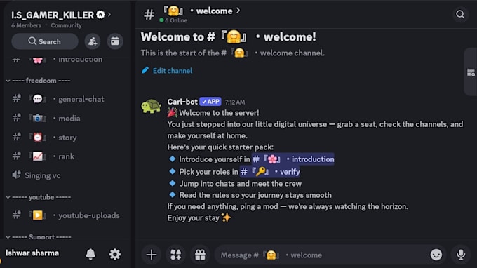 design professional aesthetic discord server