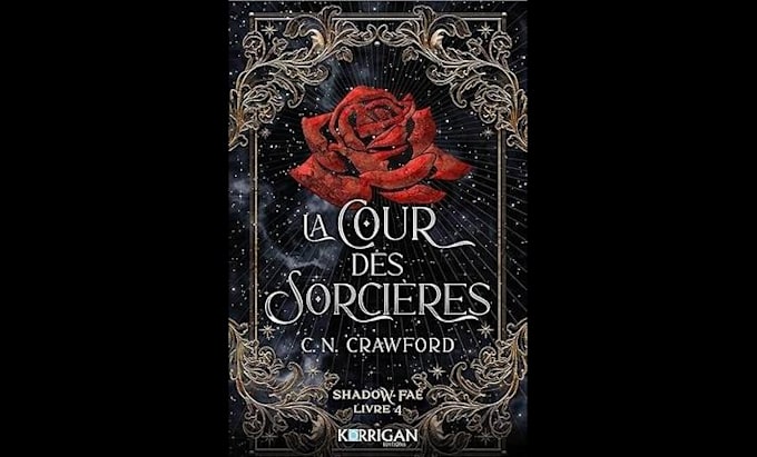 professionally translate your book into french