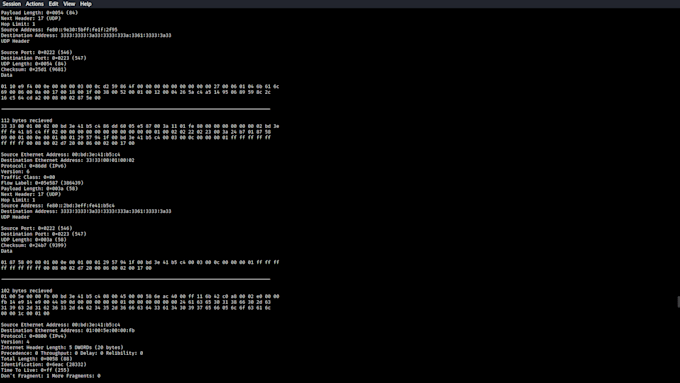 teach you how to use raw sockets in c