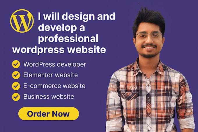 build a responsive business wordpress website with premium design