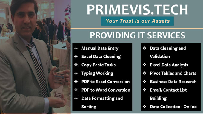 provide precise data entry, data cleaning, and professional excel data analysis