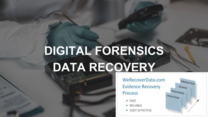 do digital forensics, malware and log analysis, cybercrime investigation
