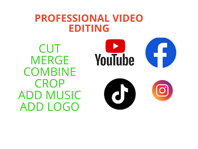 professional video editing subtitle logo text crop combine