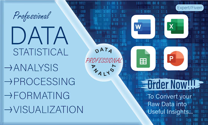 do data formatting and visualization with excel expert