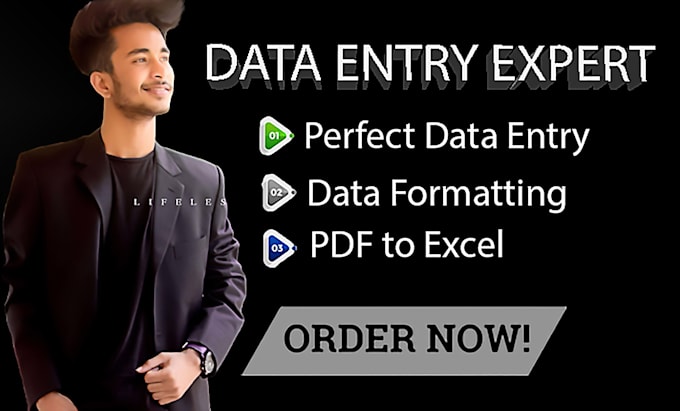 do professional excel data entry and formatting