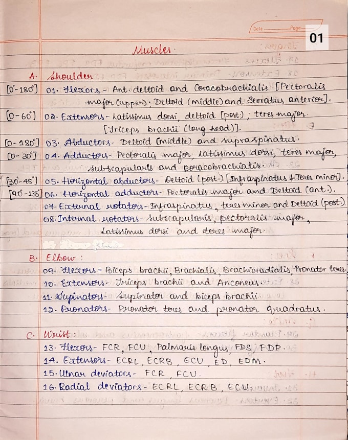 create neat handwritten notes