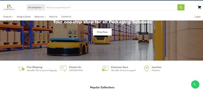 build shopify dropshipping business, ecommerce shopify store
