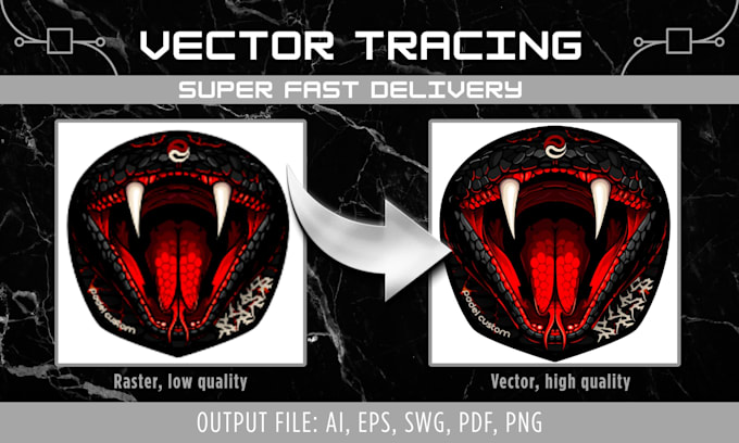 do professional vector tracing