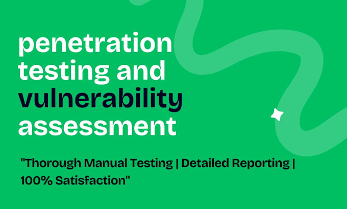 perform professional penetration testing