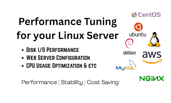 optimize your server performance, speed, and stability